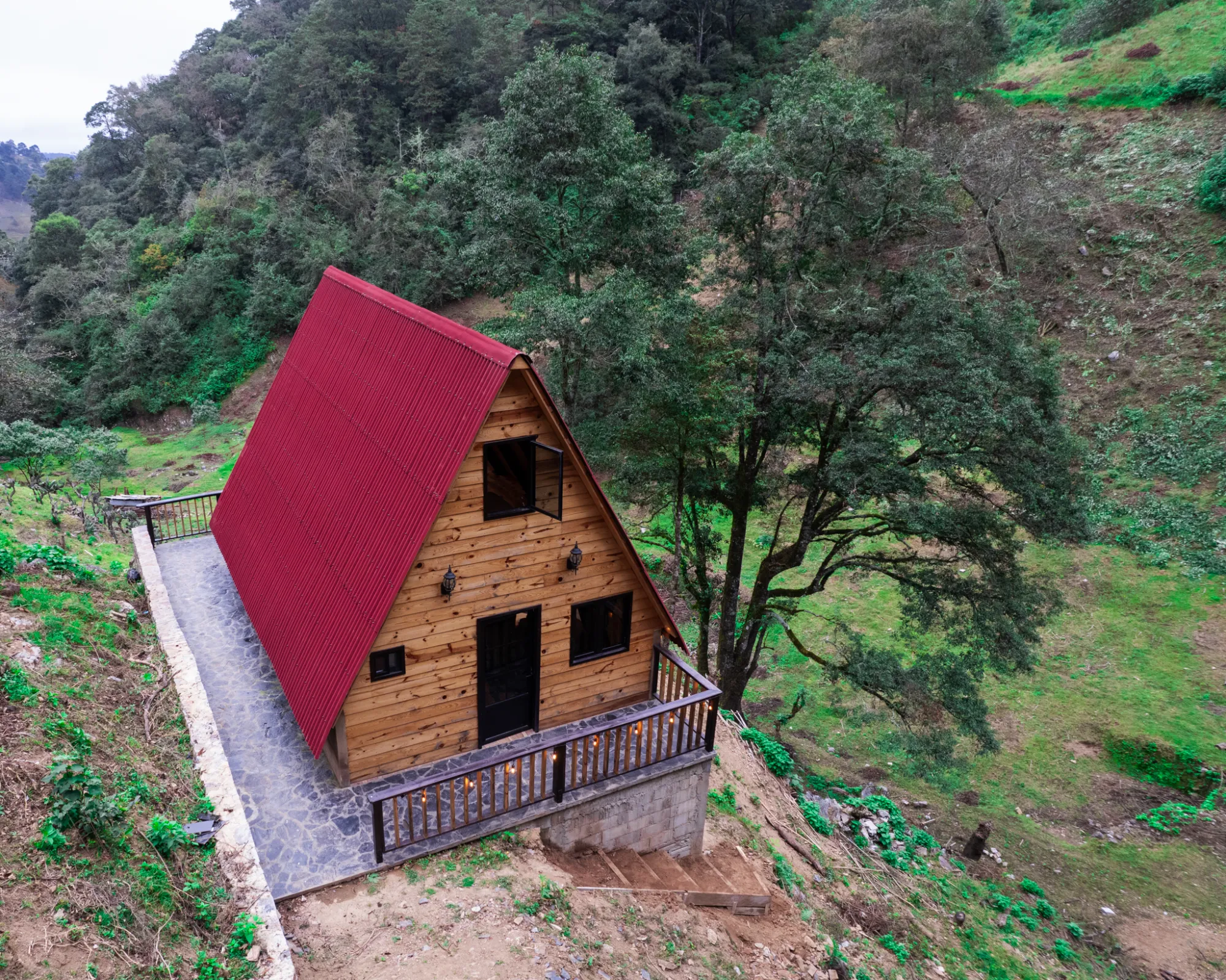 La montaña y el bosque de pinos desde el aire